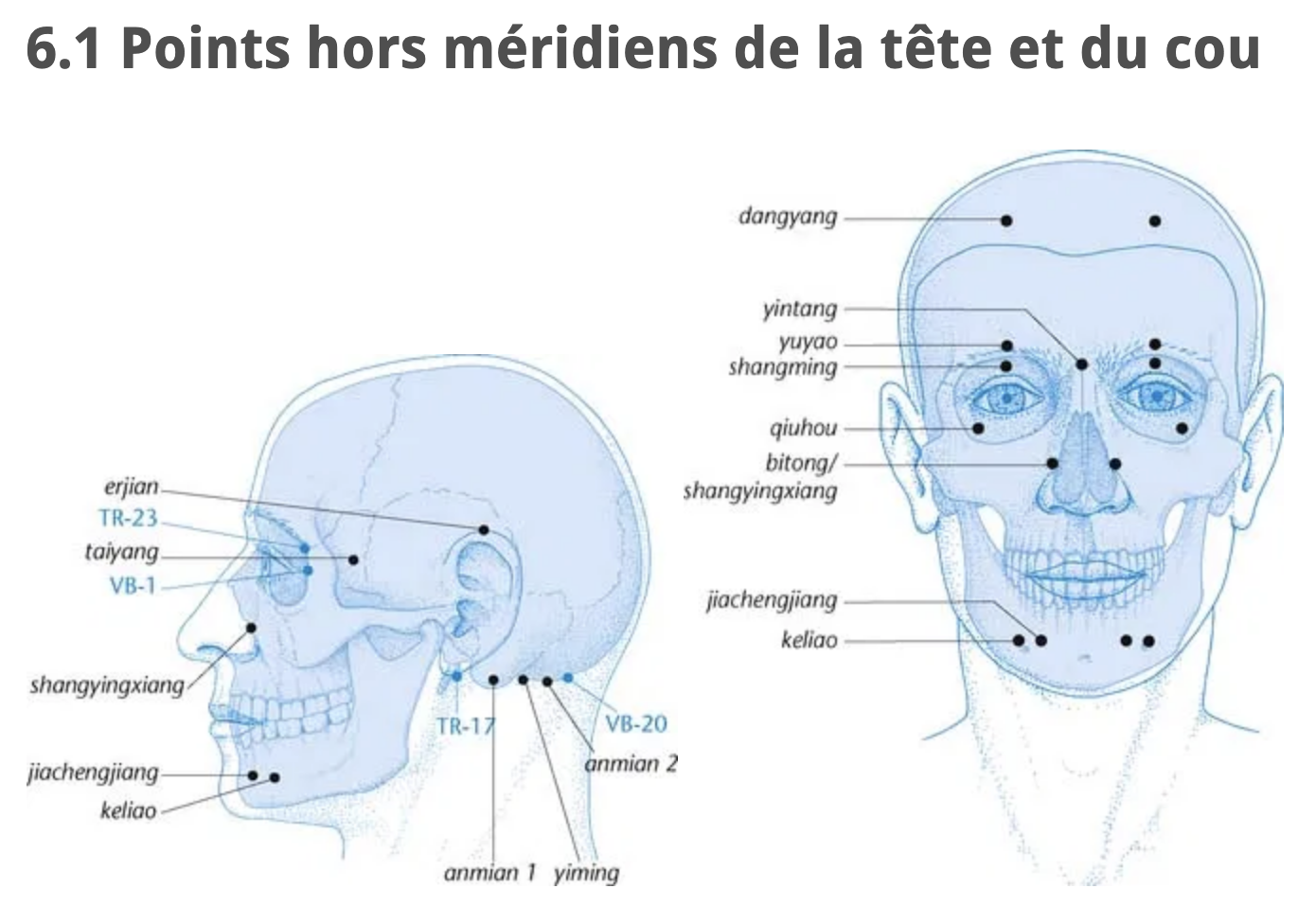 Planches de MTC - Médecine Intégrée