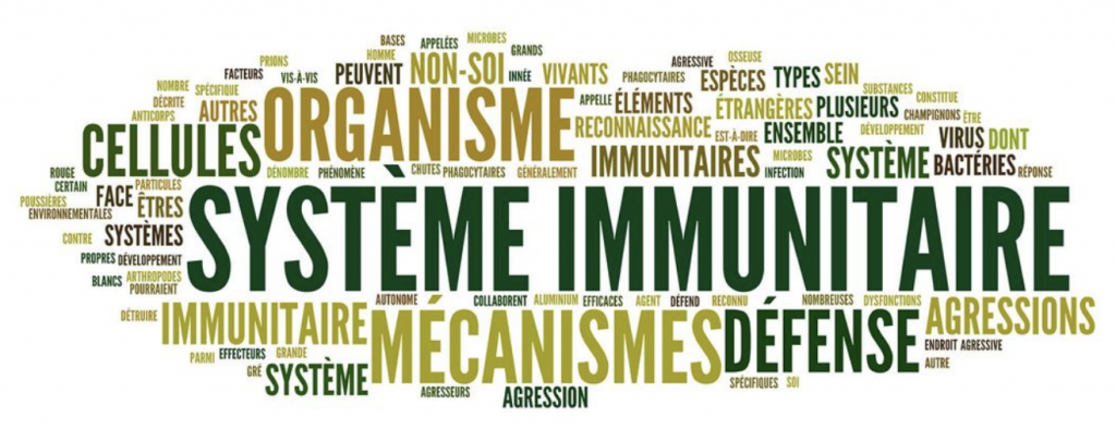 Les Maladies Auto-immunes - Médecine Intégrée