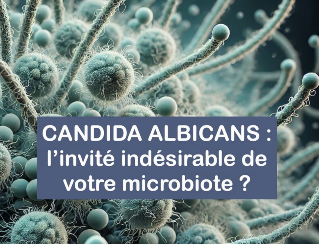 candidose-intestinale-chronique-m-decine-int-gr-e