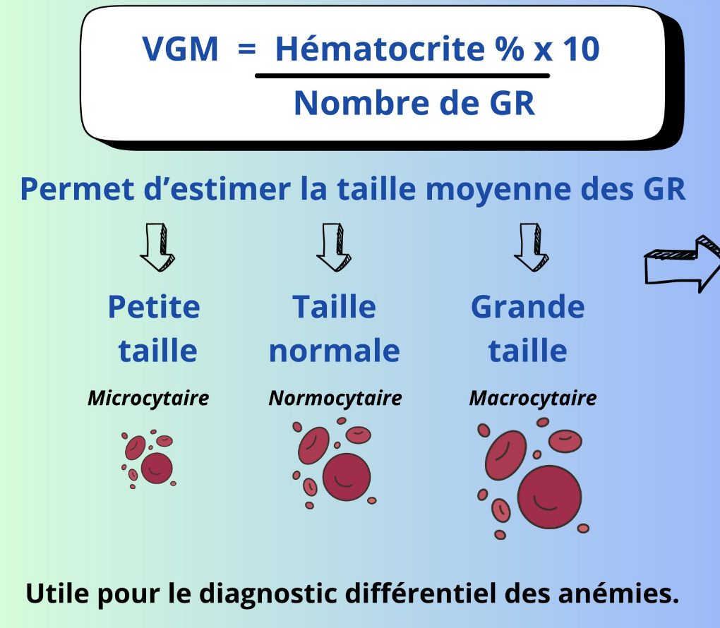 Numération-formule - Médecine Intégrée