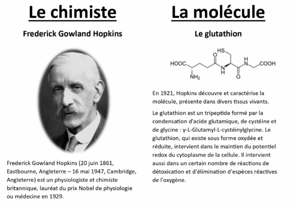 role du glutathion Le Glutathione injection : r/pomhealth Program:12 Week Regenerative Program en-us
